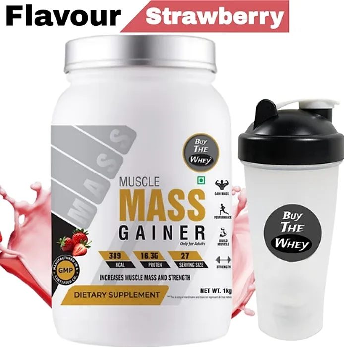 Mass Gainers